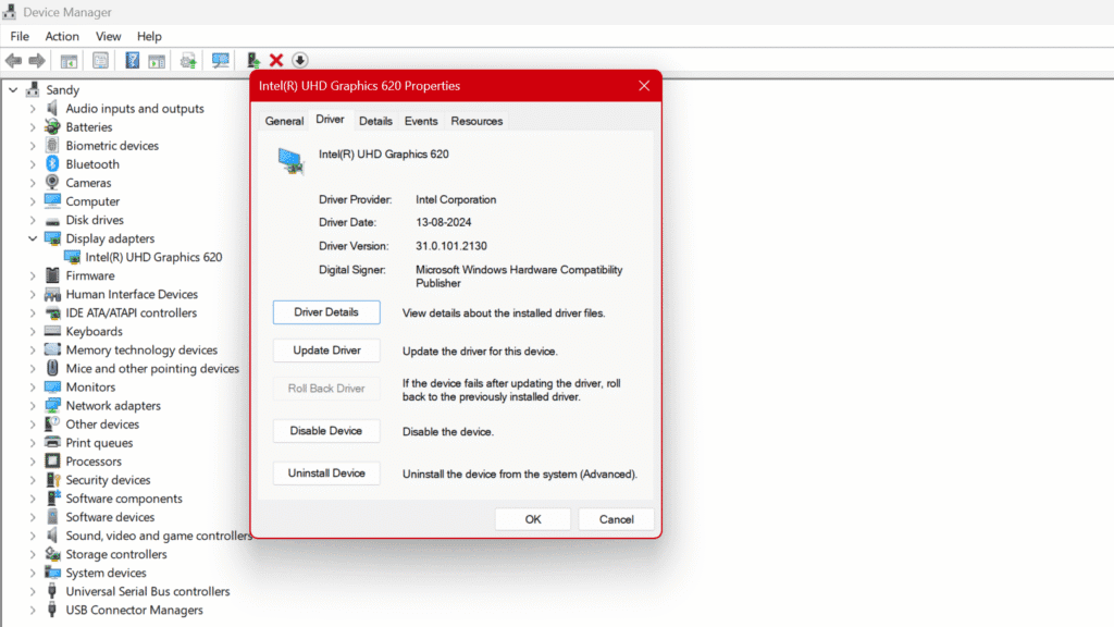 Update or Rollback Display Drivers to Fix Black Screen Problem in Windows 10/11